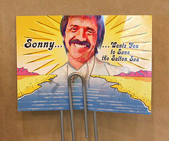 Sonny Wants You To Save The Salton Sea (9052)
