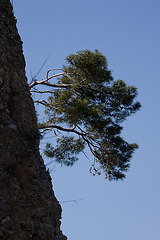 20110304 0288RAfw Kemer Steilwand