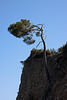 20110304 0296RAfw Kemer Steilwand