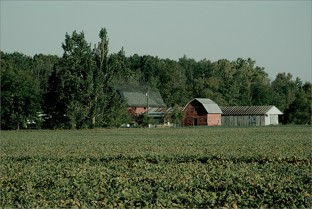 Farm, Shaytown Road