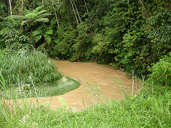 Wasser liegt gut in der Kurve