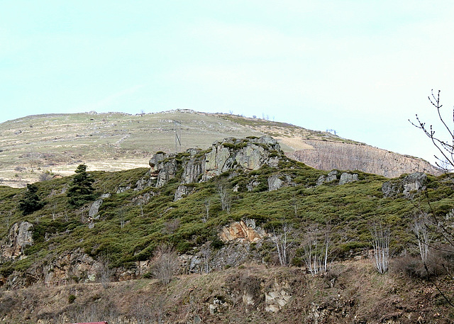 Landes à Cytisus purgens et Fétuques