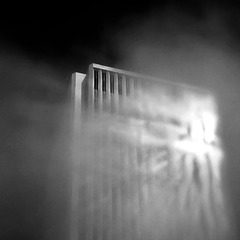 dazzling in the fog
