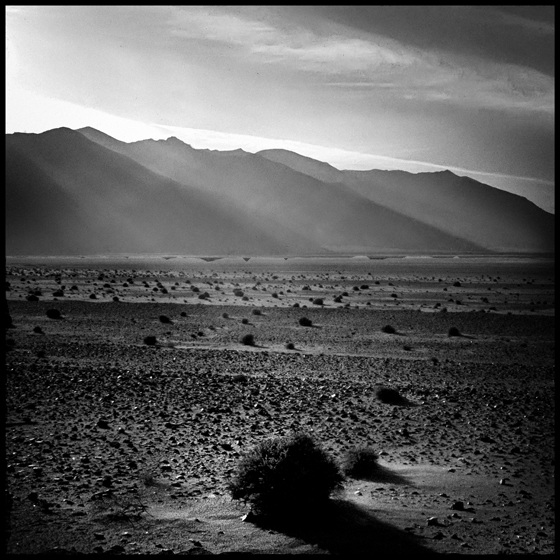 desert_light