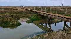 tollesbury wick marshes, essex
