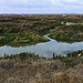 tollesbury wick marshes, essex