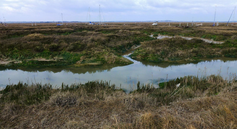 tollesbury wick marshes, essex