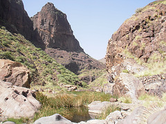 Barranco de la Aldea  110