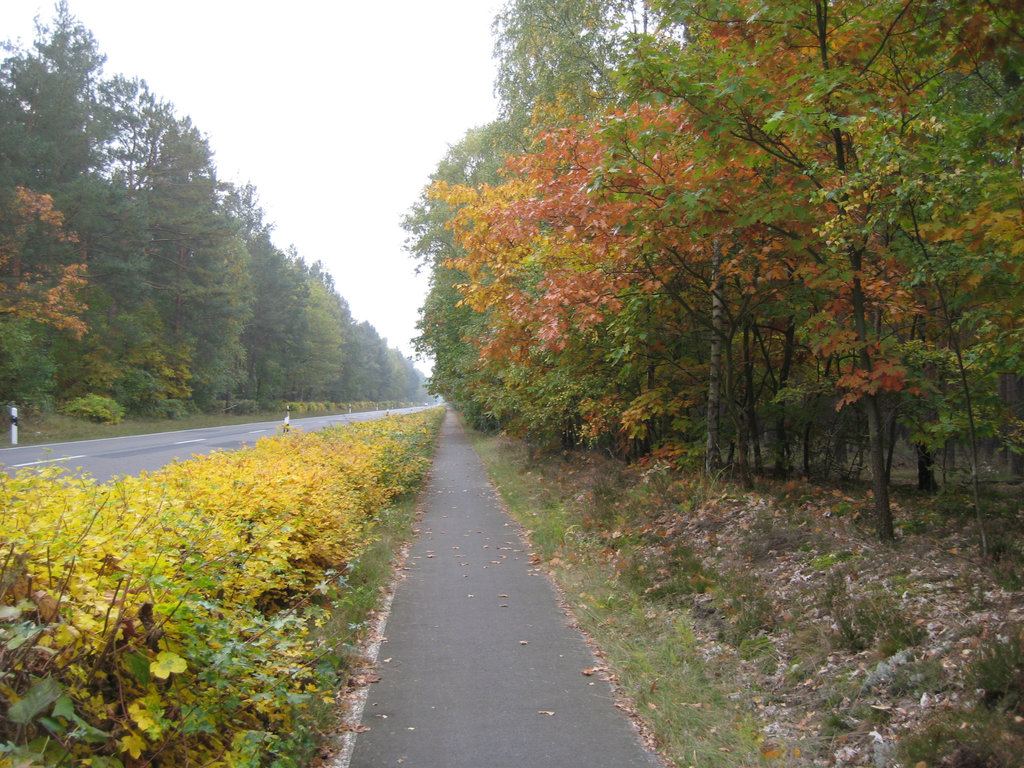 Radweg Sperenberg - Kummersdorf Gut