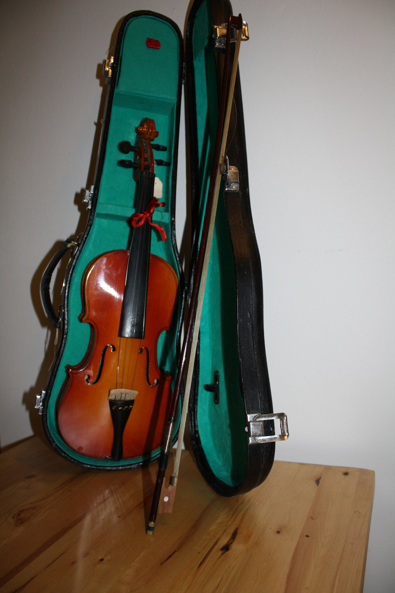 14.LarkViolinOutfit.SW.WDC.10April2011