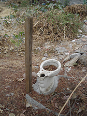 WC écologique / Ecological toilet.