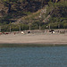 20110303 0197RAw [TR] Ziegen, Phaselis, Kemer, Türkei