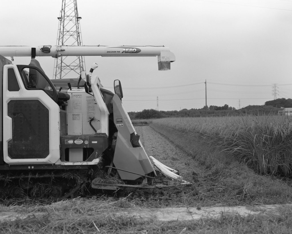 Rice harvester in a paddy