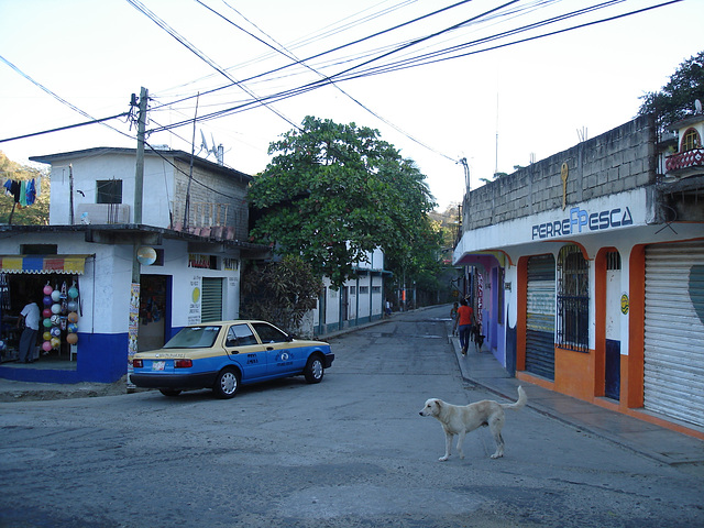 Puerto Angel, Oaxaca. Mexique / 14 janvier 2011.