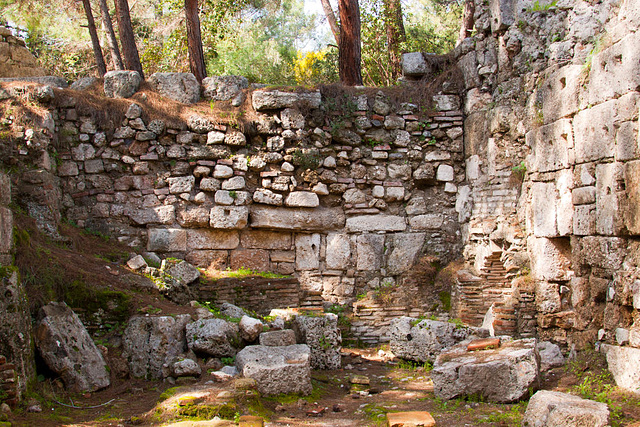 20110303 0163RAfw Kemer Phaselis