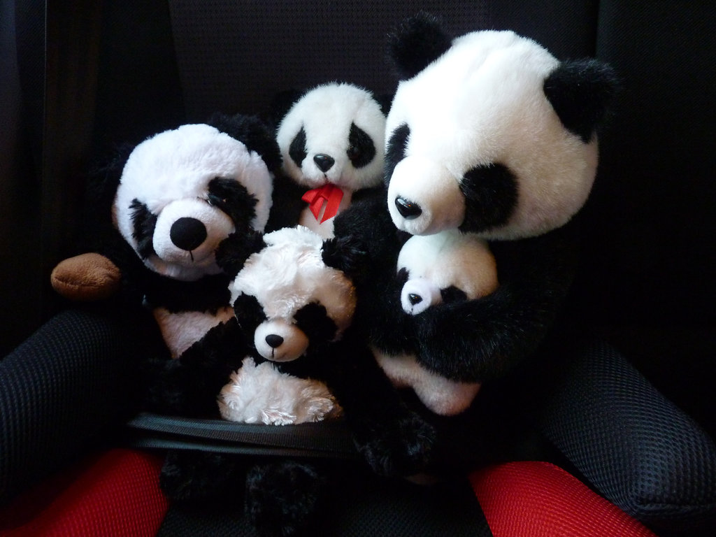 Für Pandarine...