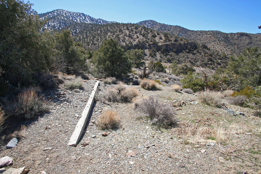 Superintendent's Cabin (9653)