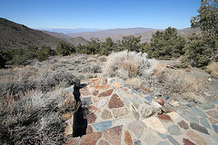 Superintendent's Cabin View Of The Sierra (9652)