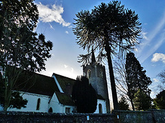 thorley church, herts.