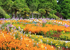 Insel Mainau