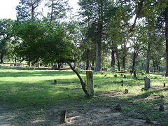 Jewett area / Près de Jewett - Texas / USA - 6 juillet 2010