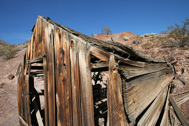 Scotty's Castle (9308)