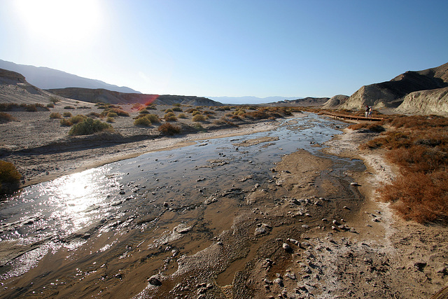 Death Valley Salt Creek (9671)