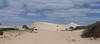 emus running up the sand dunes