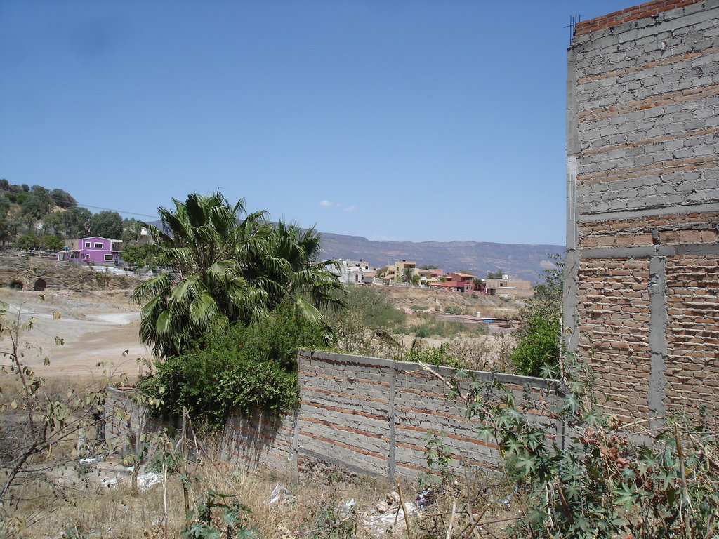 Tequila, Jalisco -  Mexique /  23 mars 2011.