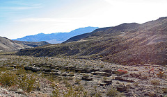 Scotty's Castle - the back forty (9332)