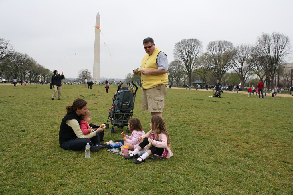 04.BlossomKiteFestival.NationalMall.WDC.10April2011