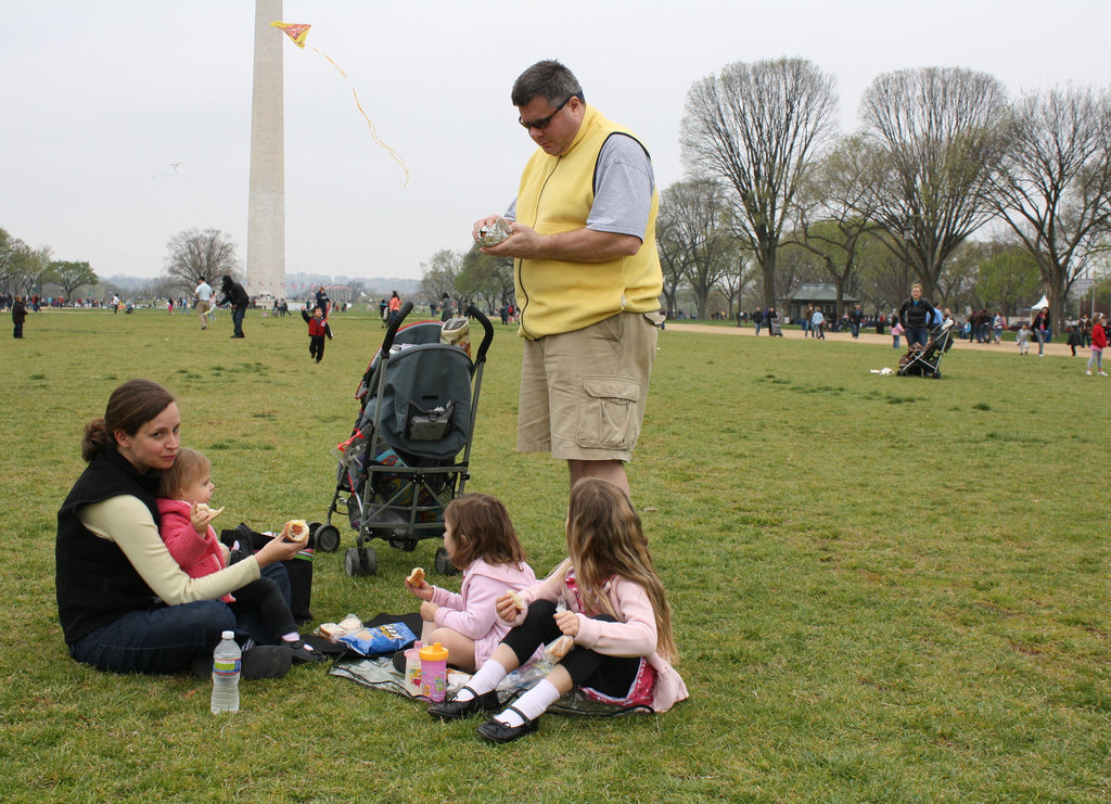 05a.BlossomKiteFestival.NationalMall.WDC.10April2011