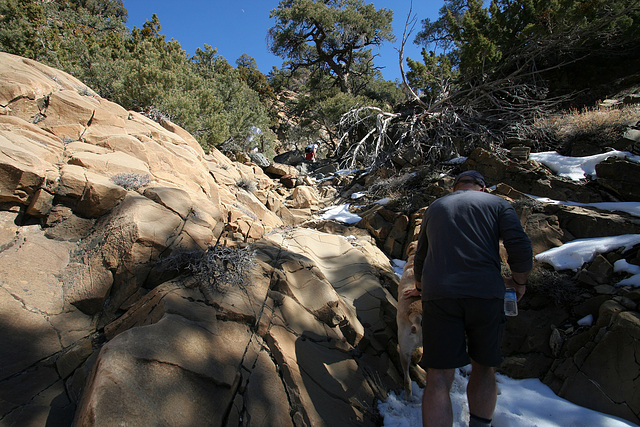 Hiking to Hummingbird Springs (9666)