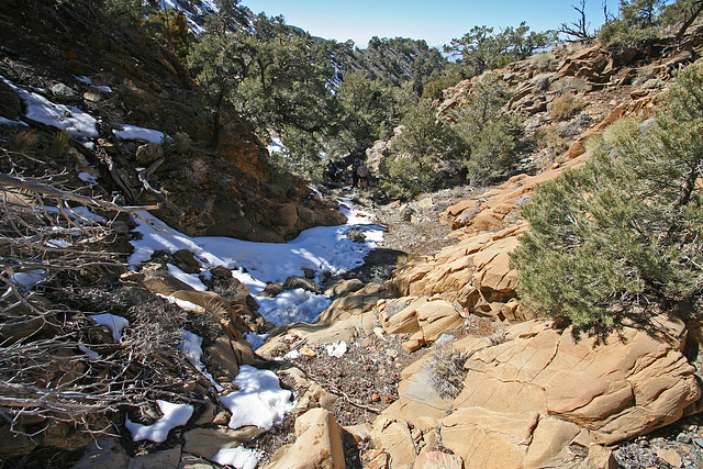 Hiking to Hummingbird Springs (9668)