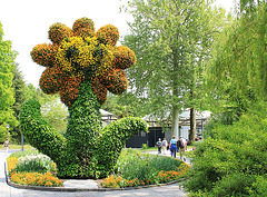 Insel Mainau