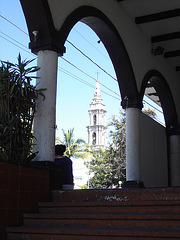 Los Reyes, Michoacán / Mexique.   27 mars 2011