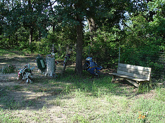 Jewett area / Près de Jewett - Texas / USA - 6 juillet 2010