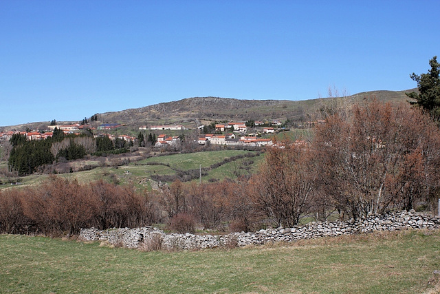 Vieux mur aux noisetiers