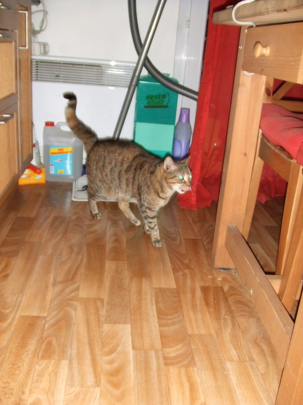 Pouniette 003