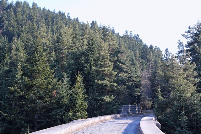 Sur le viaduc-chemin de la transcevenol