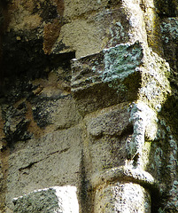 corfe castle