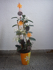 Geburtstagsgeschenk 2010