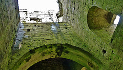 corfe castle
