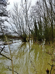 eye floods, march 2013