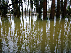 eye floods, march 2013