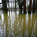 eye floods, march 2013