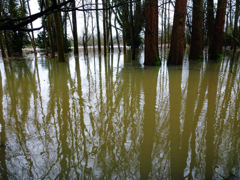 eye floods, march 2013