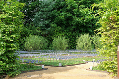 Le jardin des plantes disparues