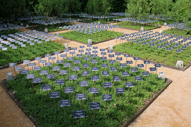 Le jardin des plantes disparues 2