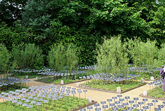 Le jardin des plantes disparues 3